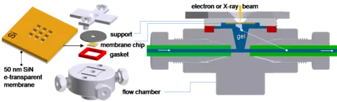 (Left) Zoomed in chip with electron (X-rays) transparent membrane. (Middle) different components of the liquid cell, (Right) Assembled liquid cell configuration during printing process.