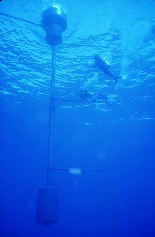 scuba divers inspecting an underwater bouy