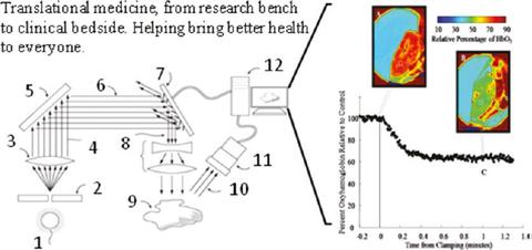 Fast surface tissue oximetry