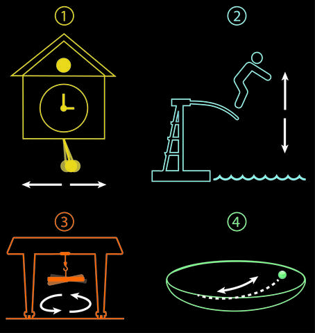 harmonic motion illustration