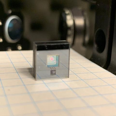 A tiny chip encased in clear plastic sits on a piece of graph paper. 