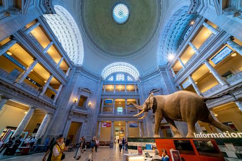Large interior hall of the National Museum of Modern History features a model of an elephant.