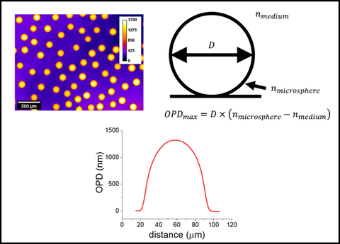 MML researchers develop reference materials and methods for quantitative phase microscopy with off-the-shelf products