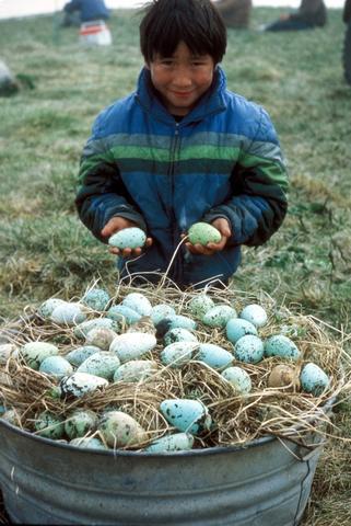 boy in a field with a large bucket full of eggs, he is holding two of them