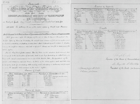 Image of the Metric Act of 1866