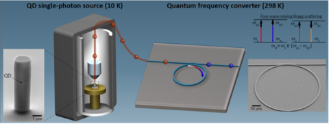 quatum frequency conversion illustration