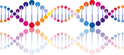 Illustration of a DNA strand and its mirror image