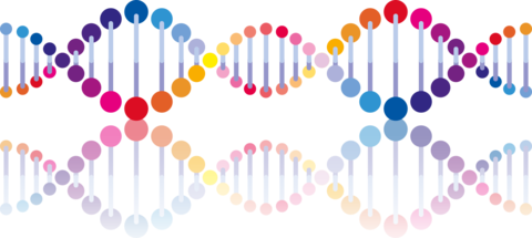 Illustration of a DNA strand and its mirror image