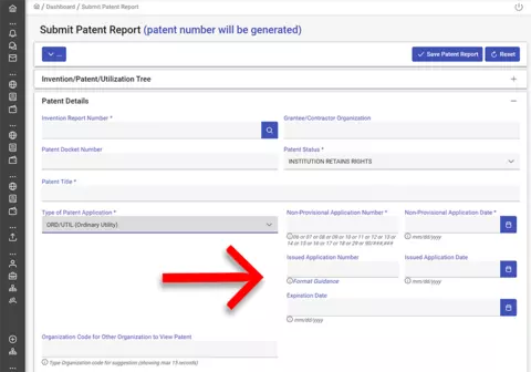 Submit patent report screenshot.