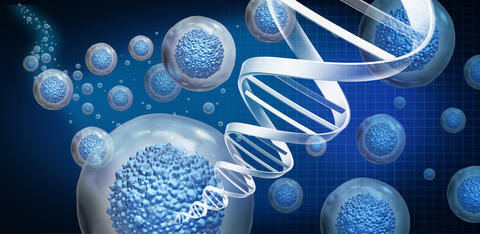 Illustration of cells and a strand of DNA