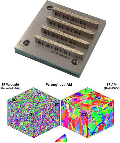 Build plate of additively manufactured (AM) metal parts with microstructure comparison between wrought and AM material