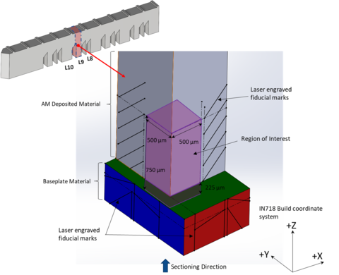 Diagram showing section of metal specimen