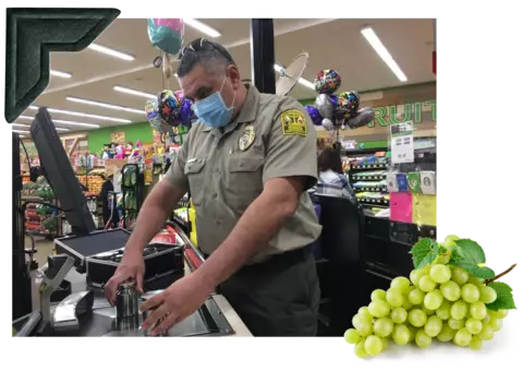 A man in a government uniform tests a scale at a grocery store, with image of grapes overlaid at lower right. 