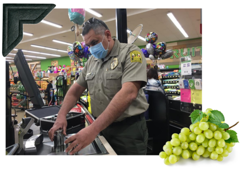 A man in a government uniform tests a scale at a grocery store, with image of grapes overlaid at lower right. 