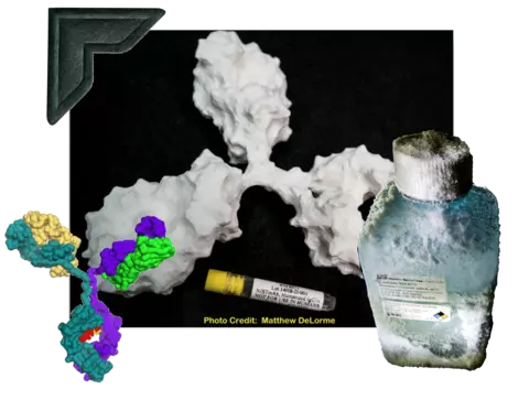 The monoclonal antibody standard is shown in digitial renderings, along with a vial and a frosted bottle. 