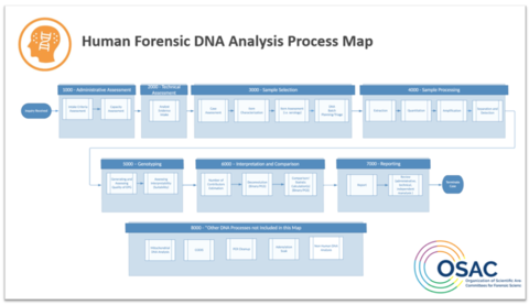 Overview of OSAC's Human Forensic DNA Analysis Process Map