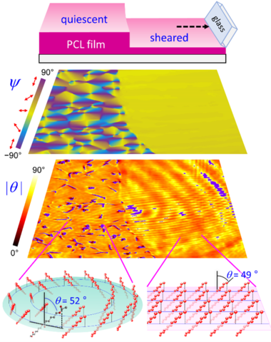 3D orientation angle images of a polycaprolactone film deformed by shearing force 