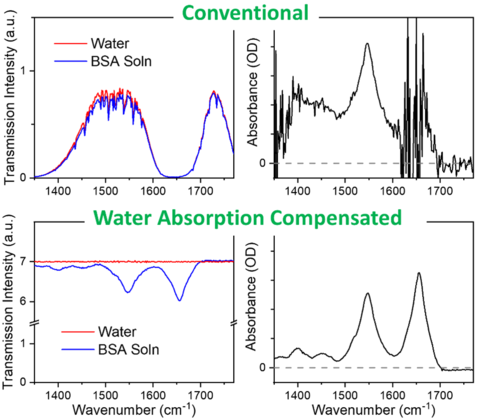 Comparison of IR spectra acquired by conventional and solvent absorption compensation (SAC) IR approaches
