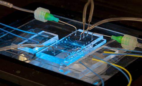 Rectangular, transparent device illuminated in a blue glow and connected to multiple sets of tubing.