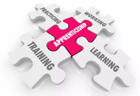 Apprenticeship Puzzle