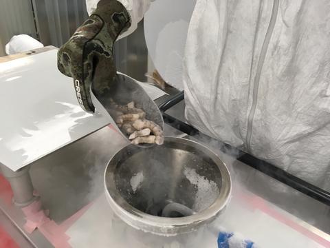 Wild-caught shrimp being placed in a cryomill for reference material 8258.
