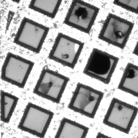 Micrograph shows squares on a grid at a diagonal, some with darker damaged sections inside. 