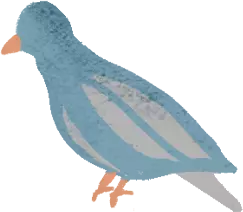 Drawing of a bluish-gray pigeon looking away