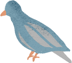 Drawing of a bluish-gray pigeon looking away