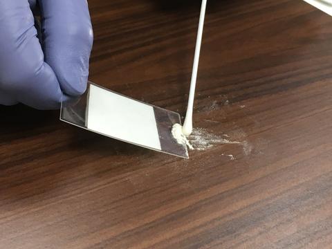 A person wearing purple plastic gloves holds a clear sheet of plastic and uses a cotton swab to brush white powder onto it from a tabletop. 