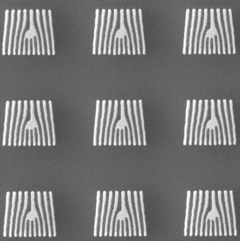 Black and white micrograph shows tiny white panels standing parallel to form small squares on a dark background. 