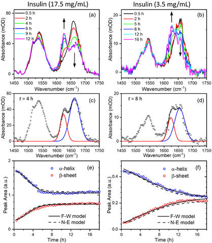 Time-resolved SAC-IR absorption spectra of insulin solutions 