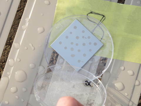 Drops of clear liquid spot a metal square in a round clear tray and the surface around it.