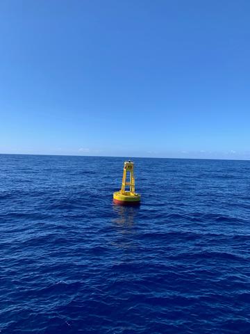 A yellow buoy with a red base floats in the sea under a blue sky. 