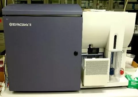 FACSAria II Sorter from BD Biosciences