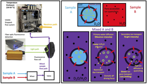 Image of a stopped flow device, ancillary equipment and schematic of a potential experiment