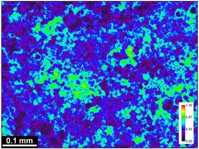 Absorbance imaging using brightfield microscope 