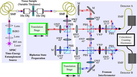Schematic of compact Franson-type interferometer to qualify time-energy entangled photons.
