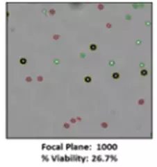 Addressing Sources of Error in the Cell Viability Measurement Process 