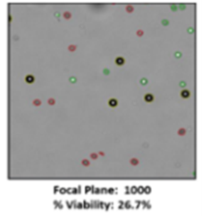 Addressing Sources of Error in the Cell Viability Measurement Process 