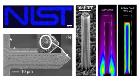 collage of different nanowire images