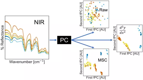 near IR data is analyzed by scattering correction and different principle component analyses to improve the differentiation of polyolefin classes