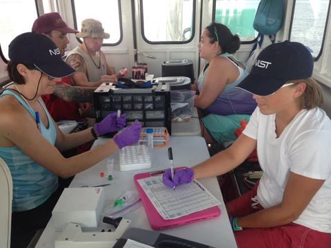 Photograph of NIST and NOAA researchers at work aboard a ship, processing veterinary samples from bottlenose dolphins following the 2010 Deepwater Horizon oil spill. 