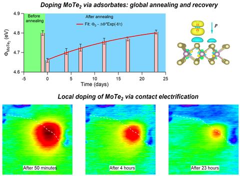 KPFM study of surface charge transfer doping of MoTe2