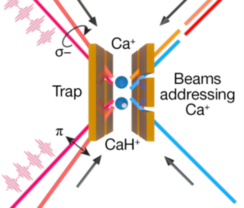 Quantum logic spectroscopy of molecular ion using optical frequency comb