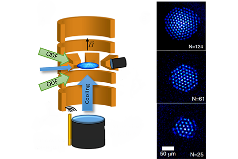 Quantum Simulation and Sensing with Trapped Ions