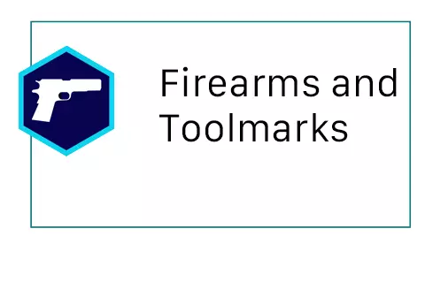 a hexagon with the icon of a gun sits on the left side of a box with the words Firearms and Toolmarks