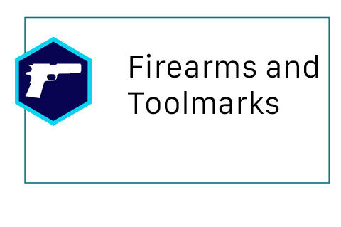 a hexagon with the icon of a gun sits on the left side of a box with the words Firearms and Toolmarks