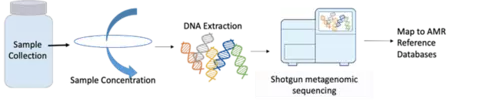Sequencing strategies for AMR surveillance 