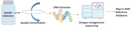 Sequencing strategies for AMR surveillance 