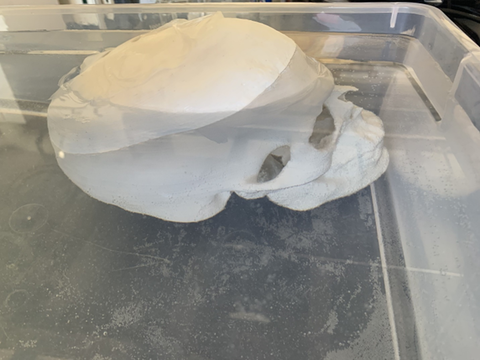 The artificial cranium in a liquid bath.